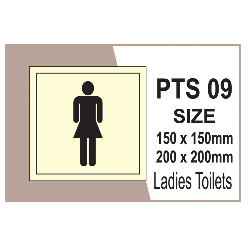 Passenger Vessel & Terminal PTS 09
