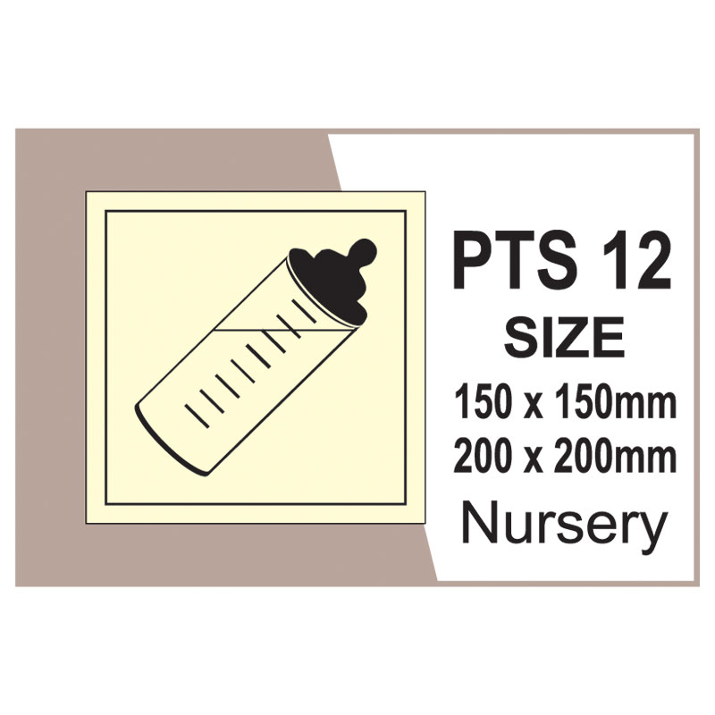 Passenger Vessel & Terminal PTS 12