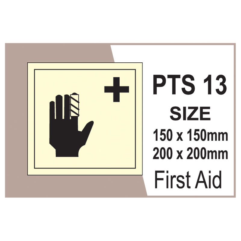 Passenger Vessel & Terminal PTS 13