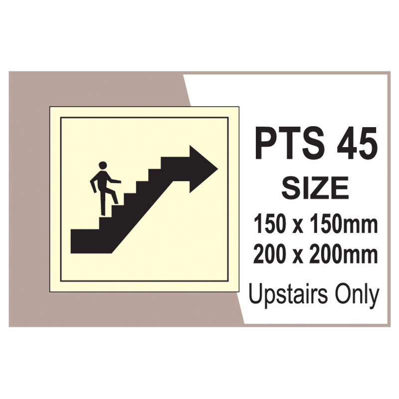 Passenger Vessel & Terminal PTS 45