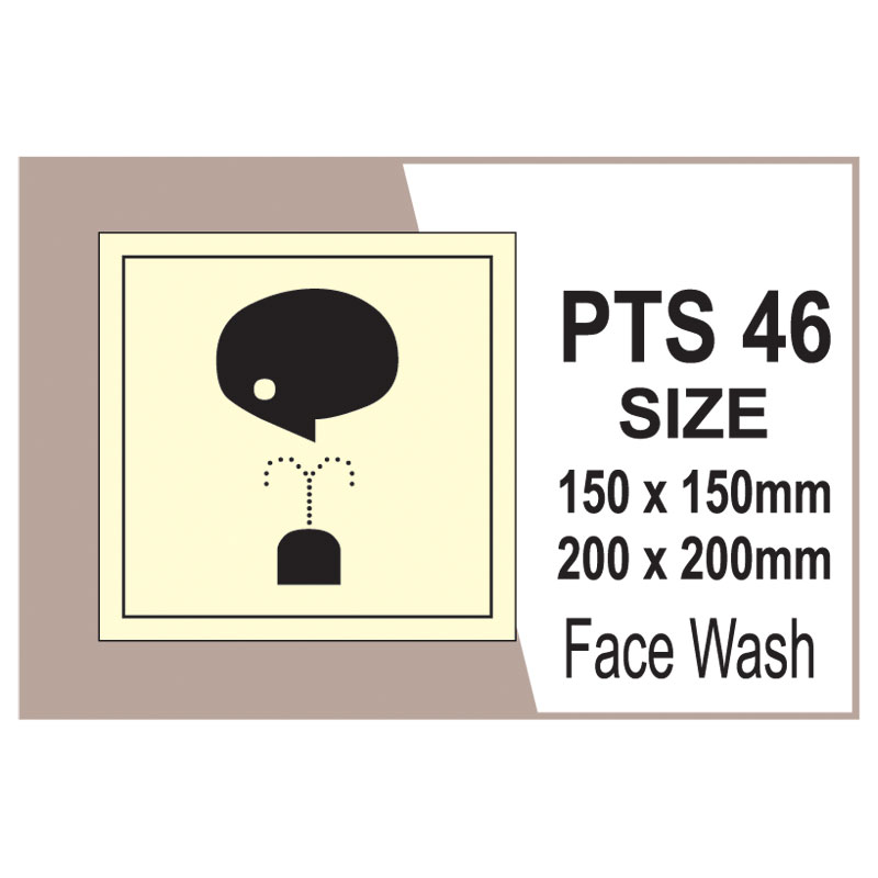 Passenger Vessel & Terminal PTS 46